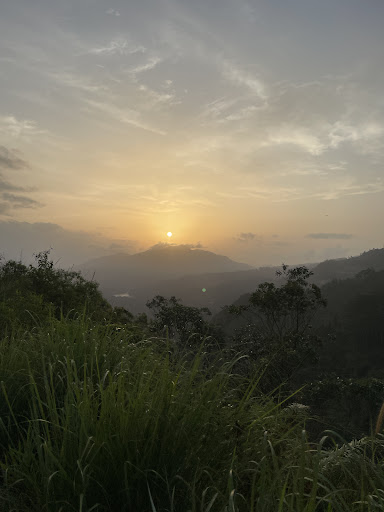 Photo from customer review