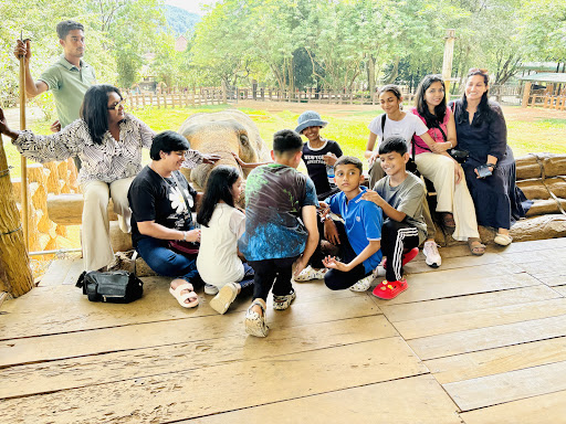 Photo from customer review