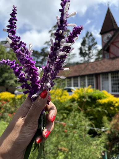 Photo from customer review