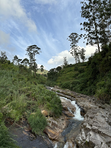 Photo from customer review