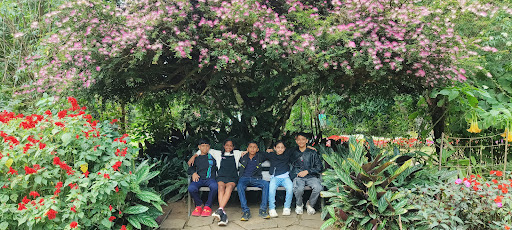 Photo from customer review